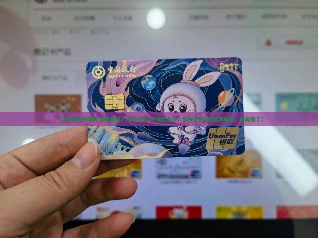 欠支付宝3千元怎么办