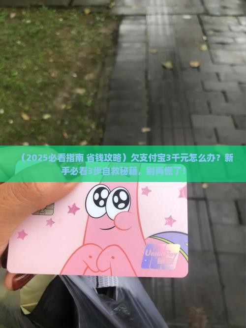 欠支付宝3千元怎么办