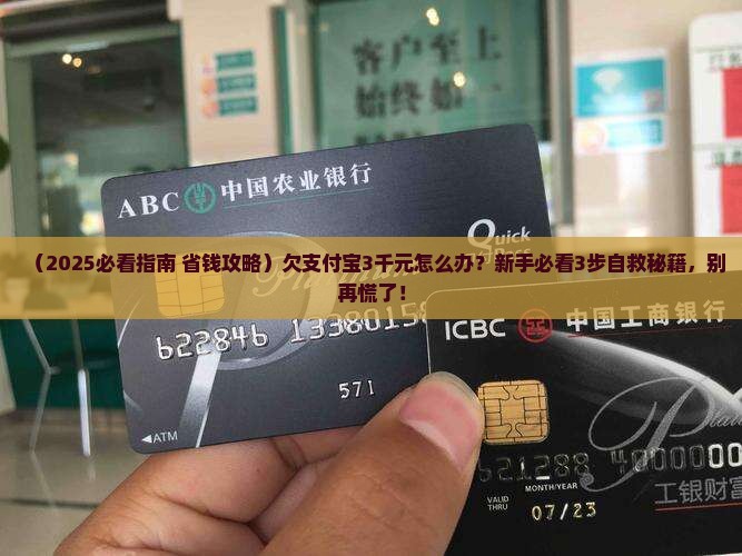 欠支付宝3千元怎么办