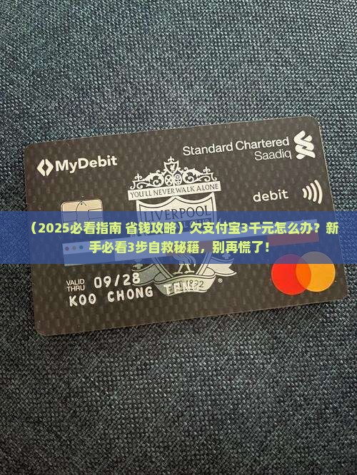 欠支付宝3千元怎么办