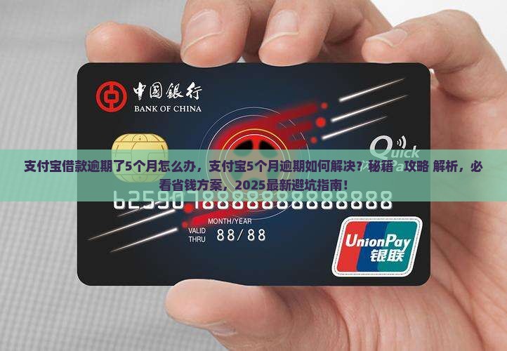 支付宝借款逾期了5个月怎么办