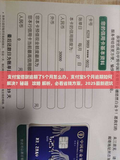 支付宝借款逾期了5个月怎么办