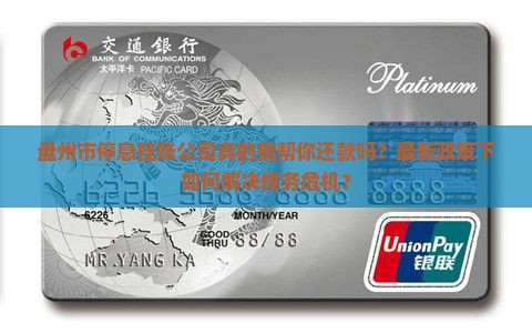 盘州市停息挂账公司