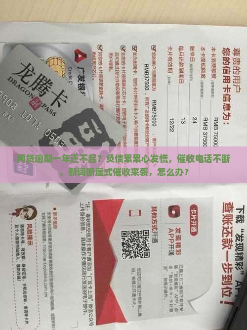网贷逾期一年还不起