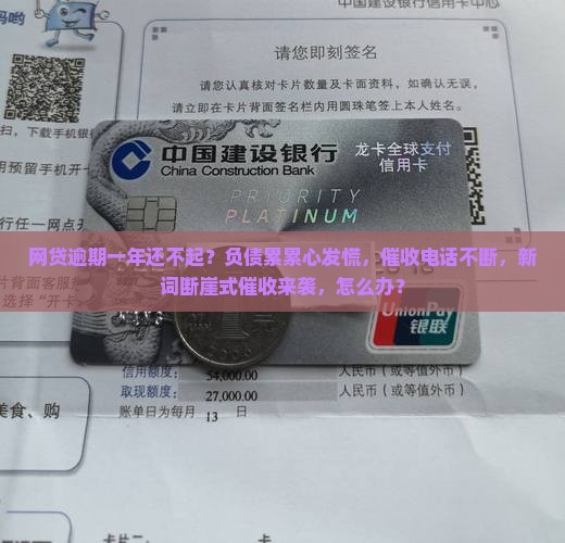 网贷逾期一年还不起