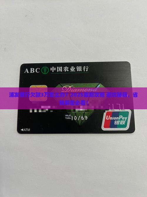 浦发银行欠款3万怎么办理