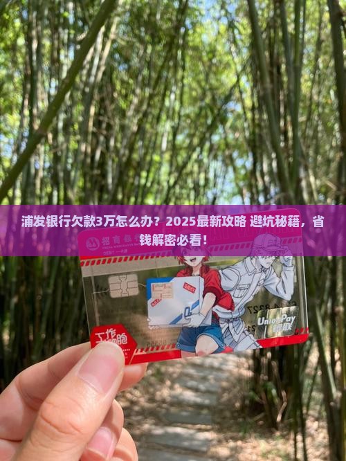 浦发银行欠款3万怎么办理
