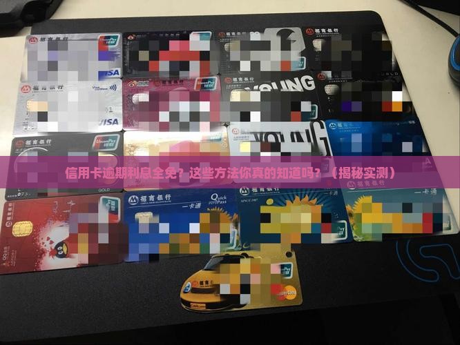 信用卡逾期利息全免的方法有哪些