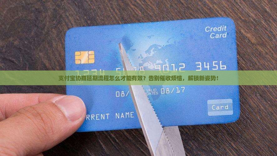 支付宝协商延期流程怎么办有效