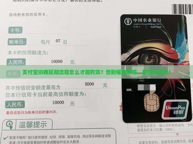 支付宝协商延期流程怎么办有效