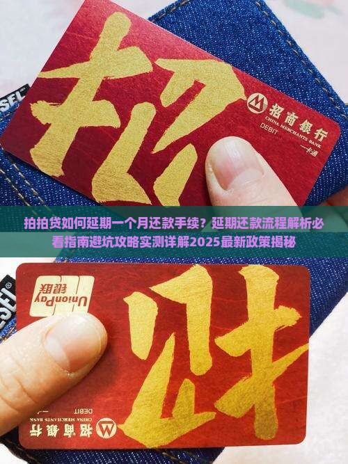 拍拍贷如何延期一个月还款手续是什么