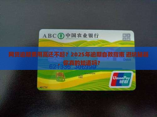 网贷逾期费用高还不起