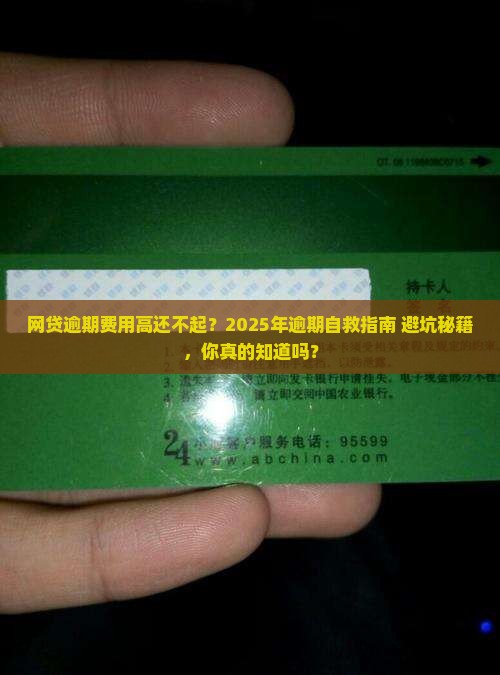 网贷逾期费用高还不起