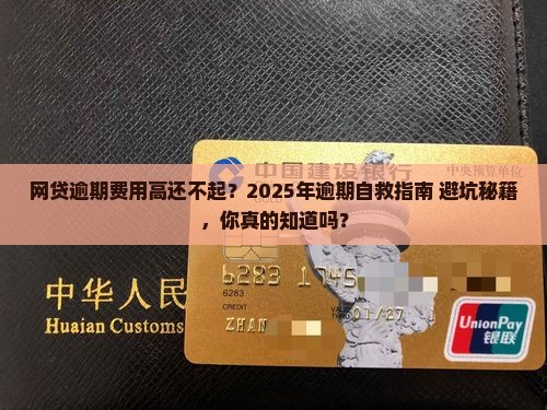 网贷逾期费用高还不起