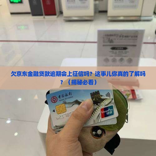 欠京东金融贷款逾期会上征信吗