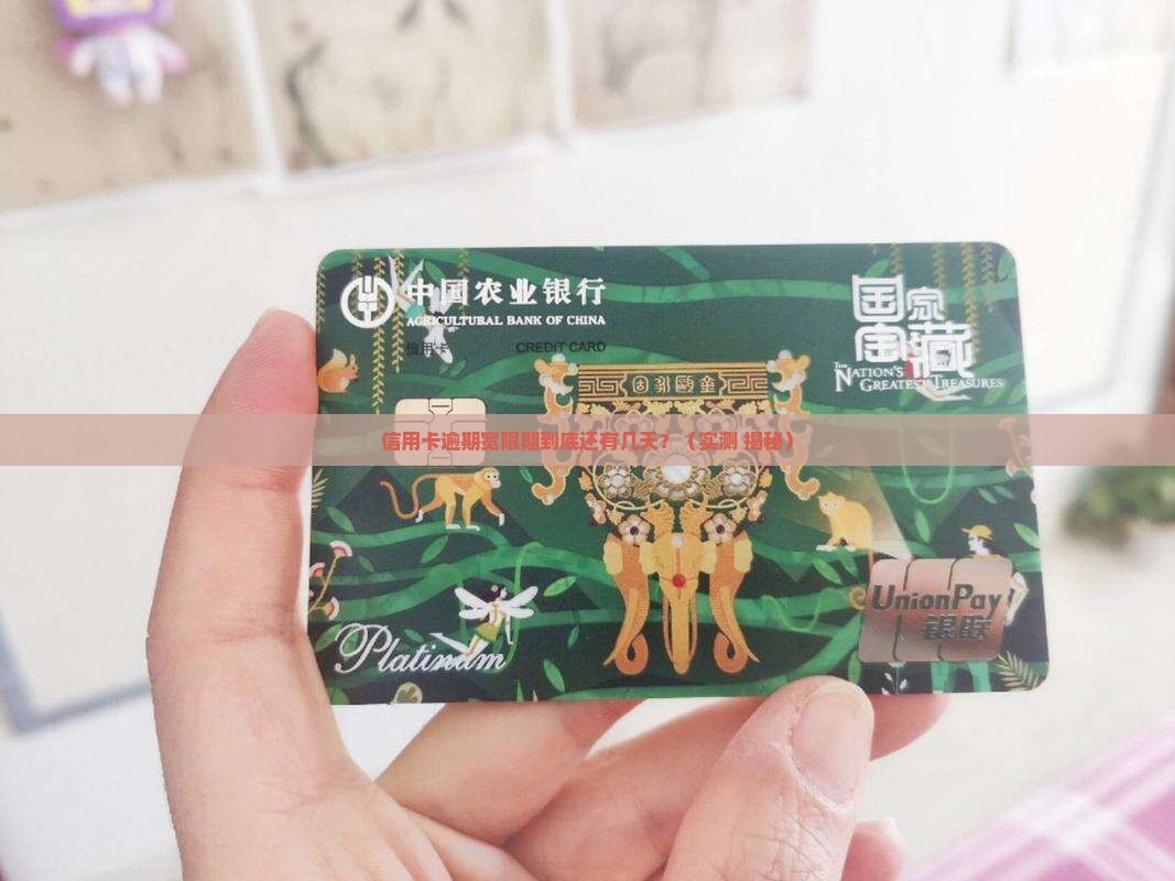信用卡逾期宽限期到底有多少天