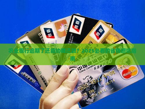 农业银行逾期后可以申请还款协商吗