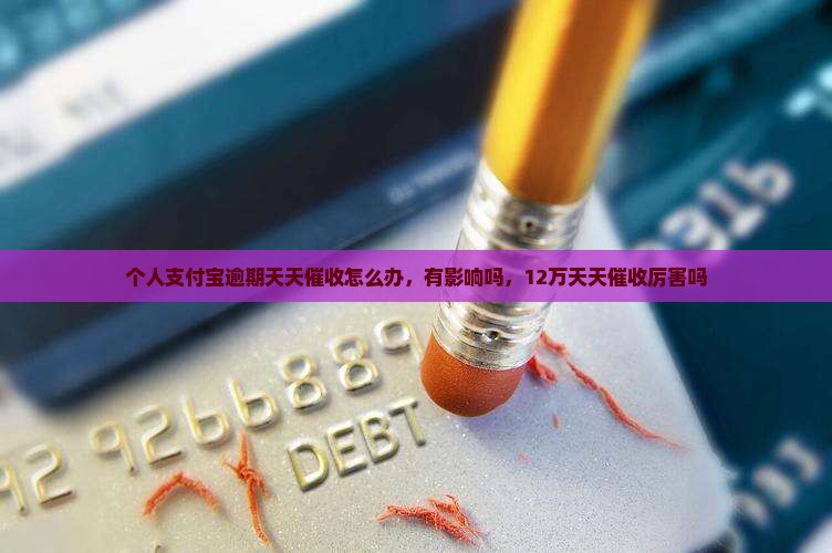 个人支付宝逾期天天催收