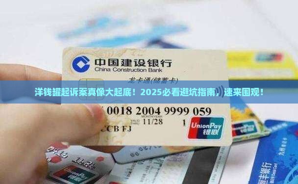 洋钱罐起诉案件调查结果