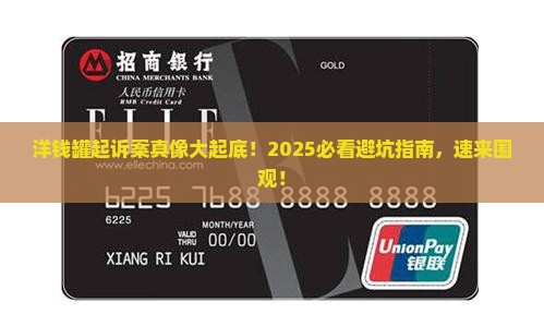 洋钱罐起诉案件调查结果