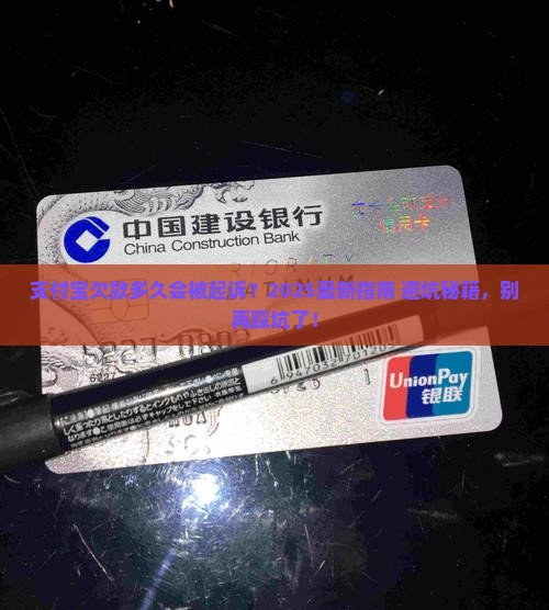 欠支付宝钱多久会被法院起诉