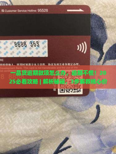 一品贷逾期款项怎么办