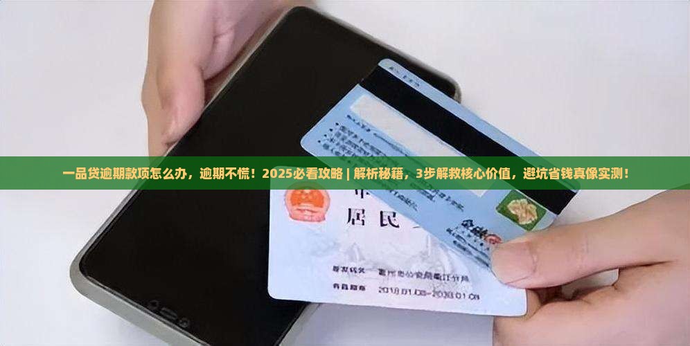 一品贷逾期款项怎么办