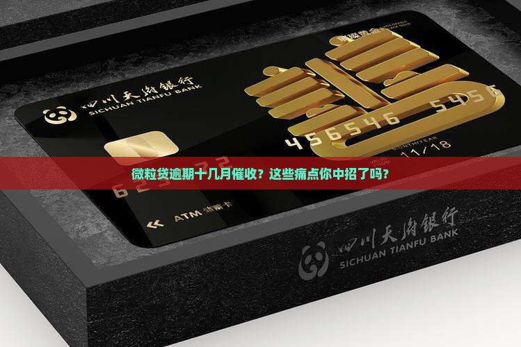 微粒贷逾期十几月催收
