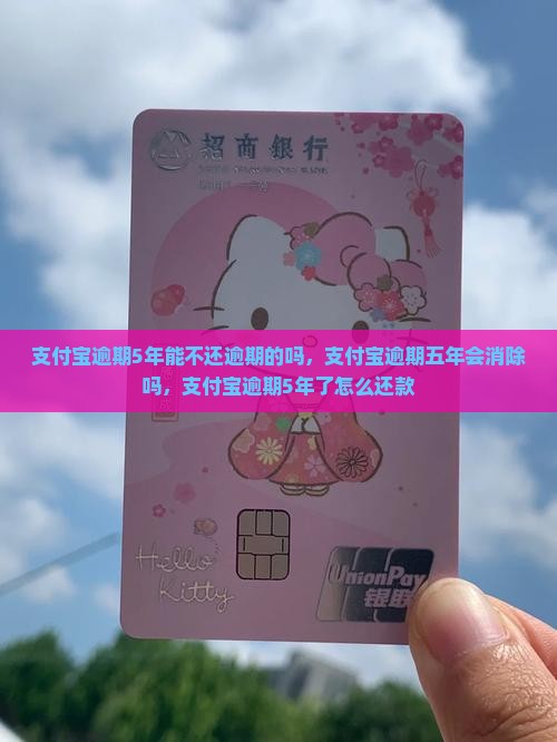 支付宝逾期5年能不还逾期的吗
