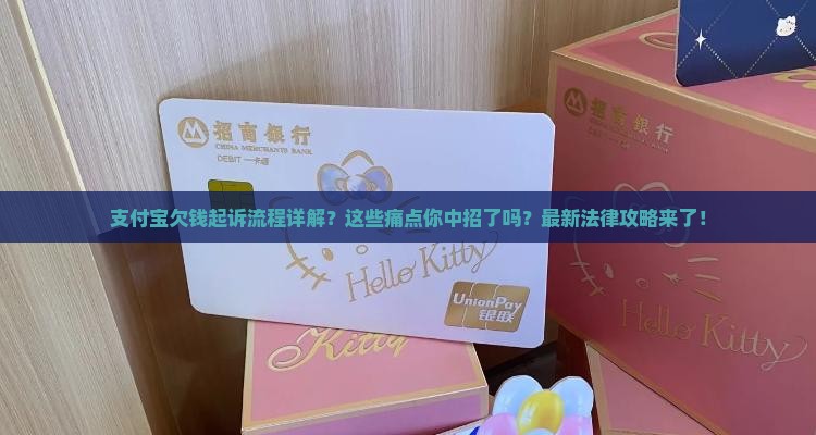 支付宝欠钱起诉流程详解