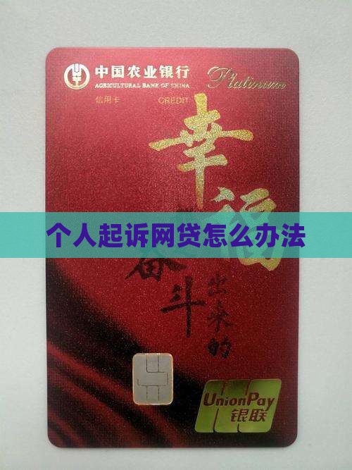 个人起诉网贷怎么办法