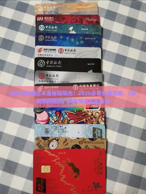拍拍贷怎么协商还本金的钱