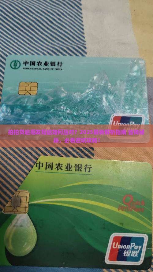 拍拍贷逾期了如何处理发短信