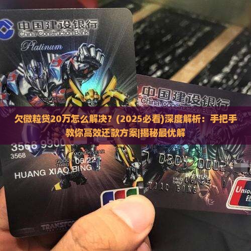 欠微粒贷20万怎么解决