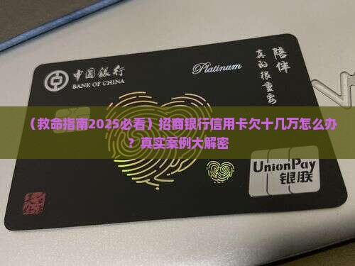 招商银行信用卡欠十几万如何解决