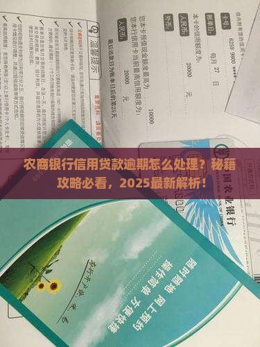 农商信用贷逾期如何处理