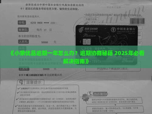 小象优品逾期快一年了应该怎么办