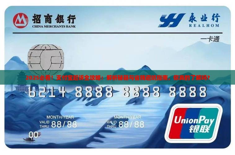 支付宝起诉的流程详解如何起诉支付宝