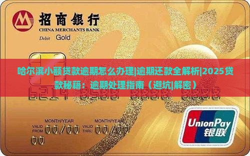 哈尔滨小额贷款逾期怎么办理