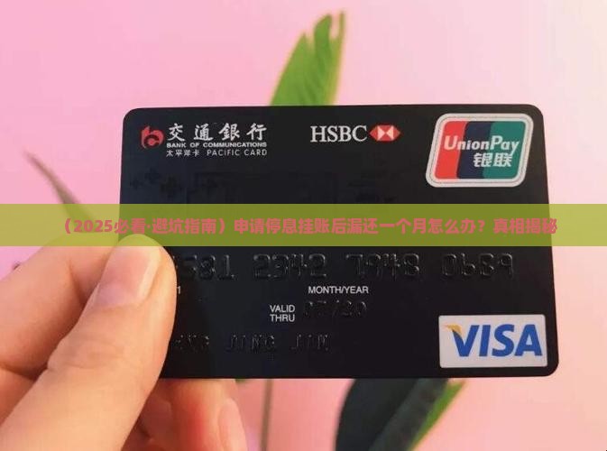 申请停息挂账漏还一个月怎么处理