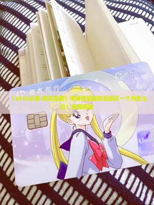 申请停息挂账漏还一个月怎么处理