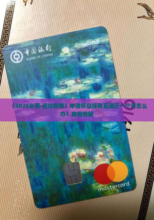 申请停息挂账漏还一个月怎么处理