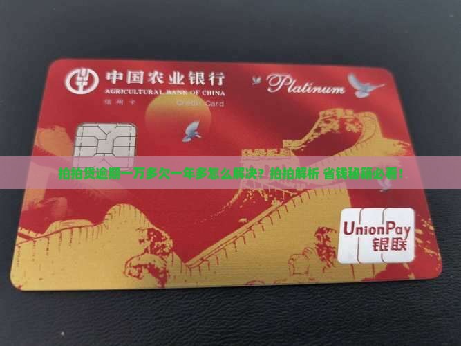 拍拍贷一万多欠一年多如何解决