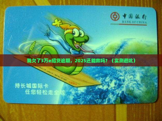 我的e招贷逾期