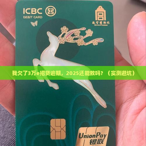 我的e招贷逾期