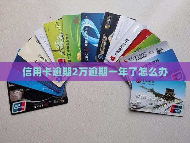 信用卡逾期2万逾期一年了怎么办