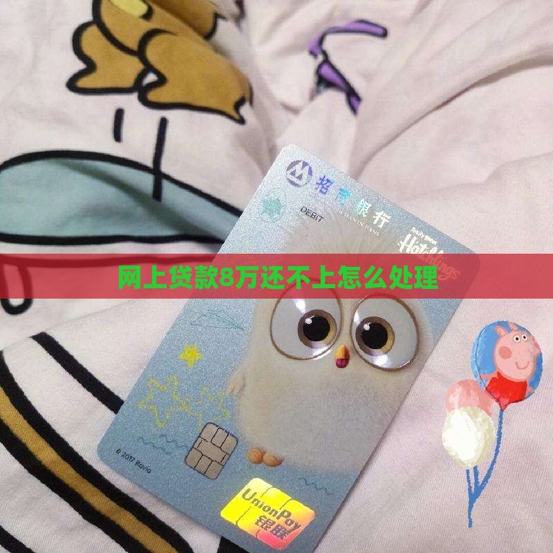 网上贷款8万还不上怎么处理