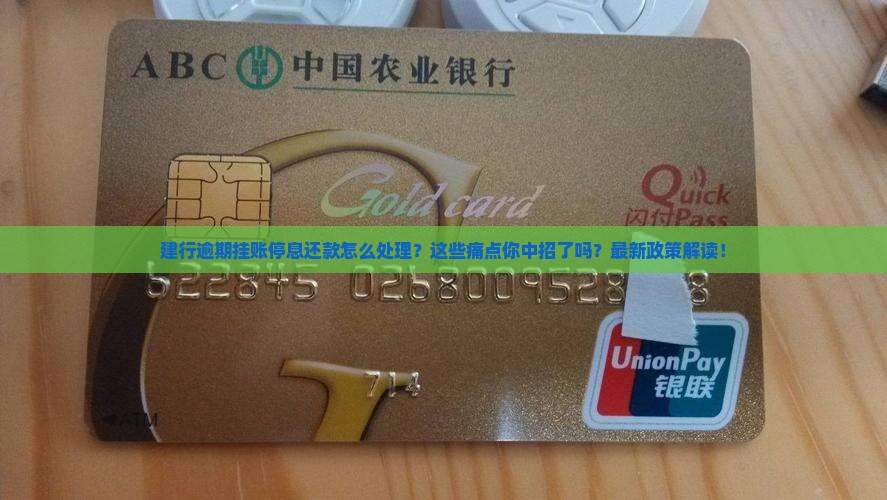 建行逾期挂账停息还款怎么处理