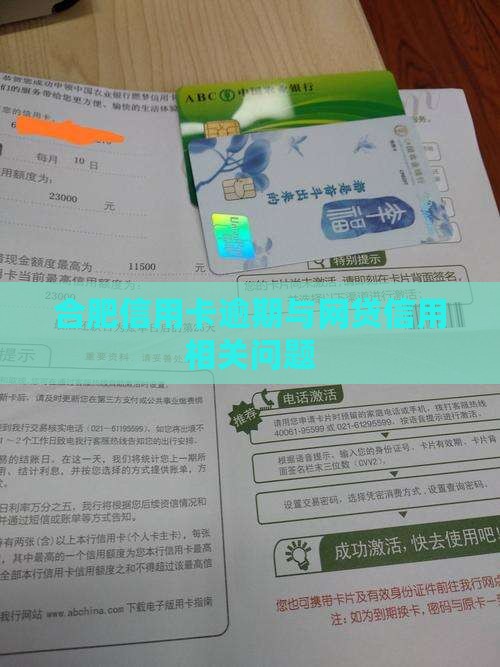 安徽合肥信用卡网贷逾期及相关问题