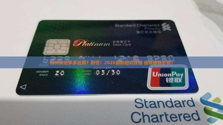 榕树贷桔多多逾期 榕树贷桔多多逾期